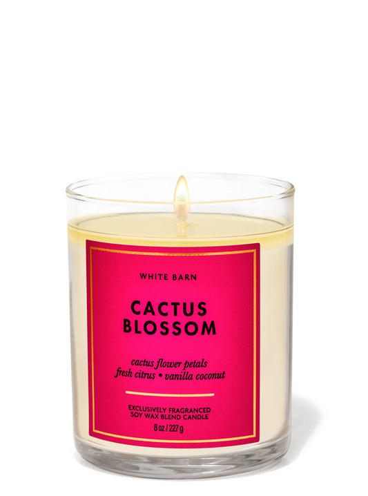 Cactus Blossom
