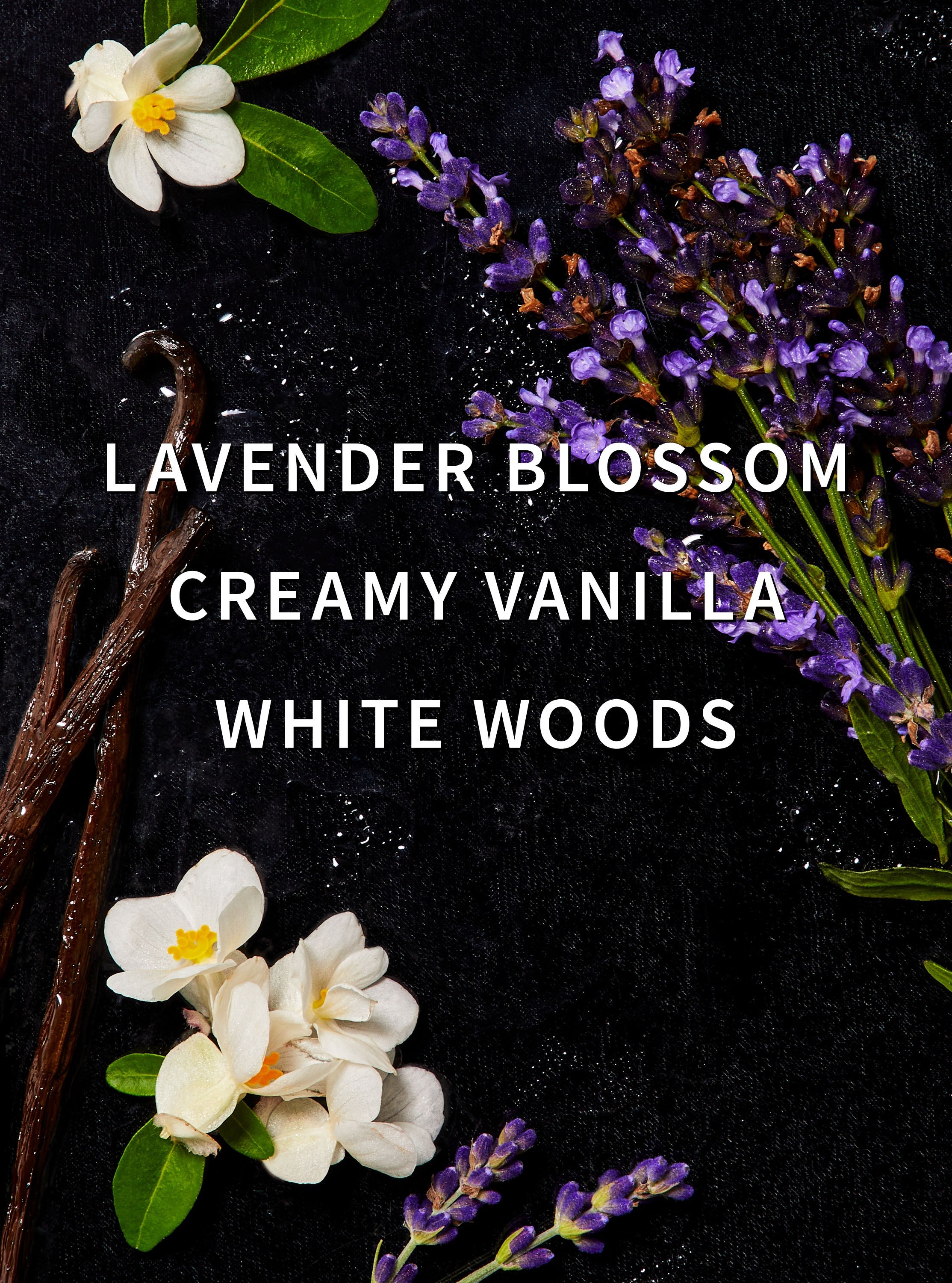 Lavender Vanilla
