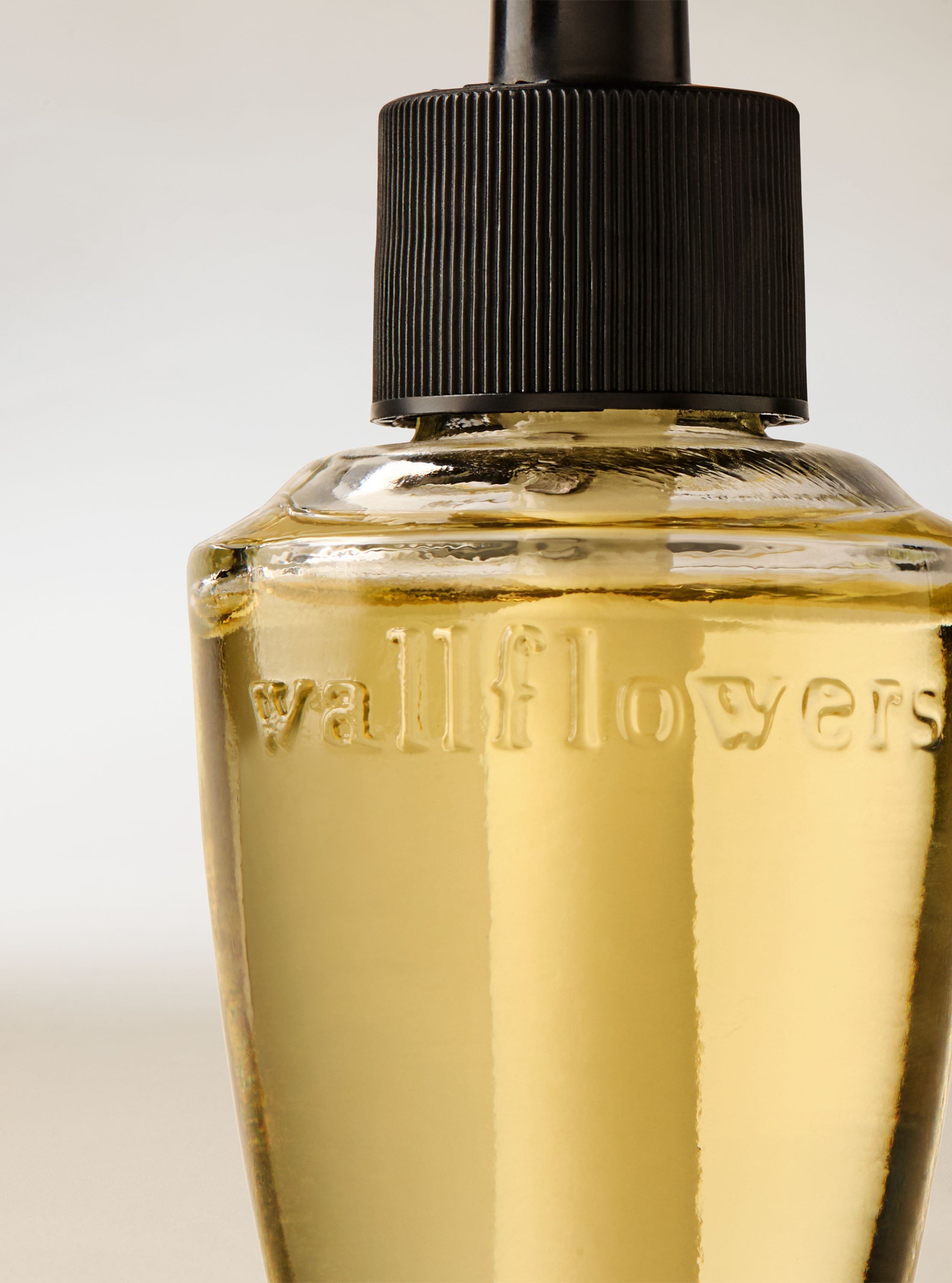 Japanese Cherry Blossom