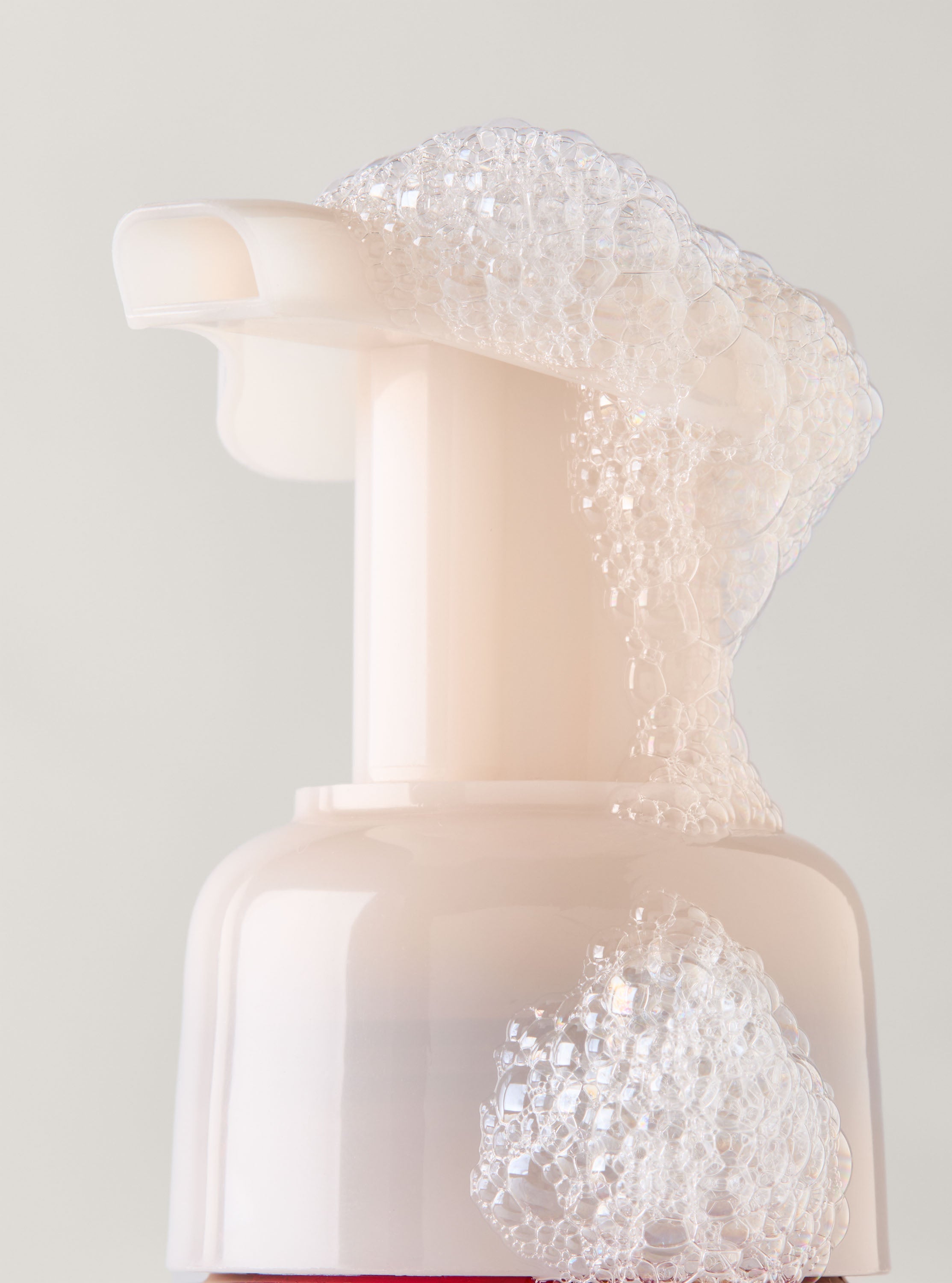 Japanese Cherry Blossom