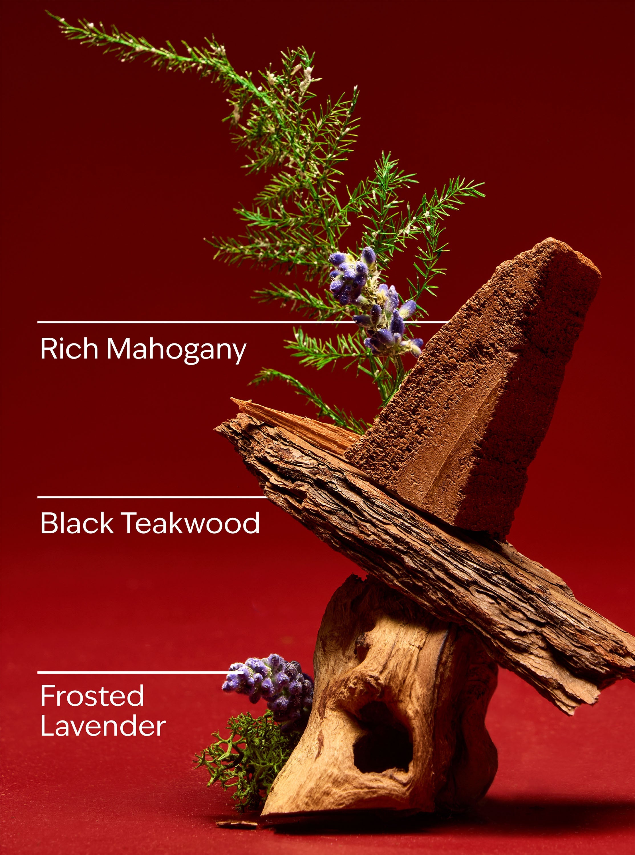 Mahogany Teakwood High Intensity