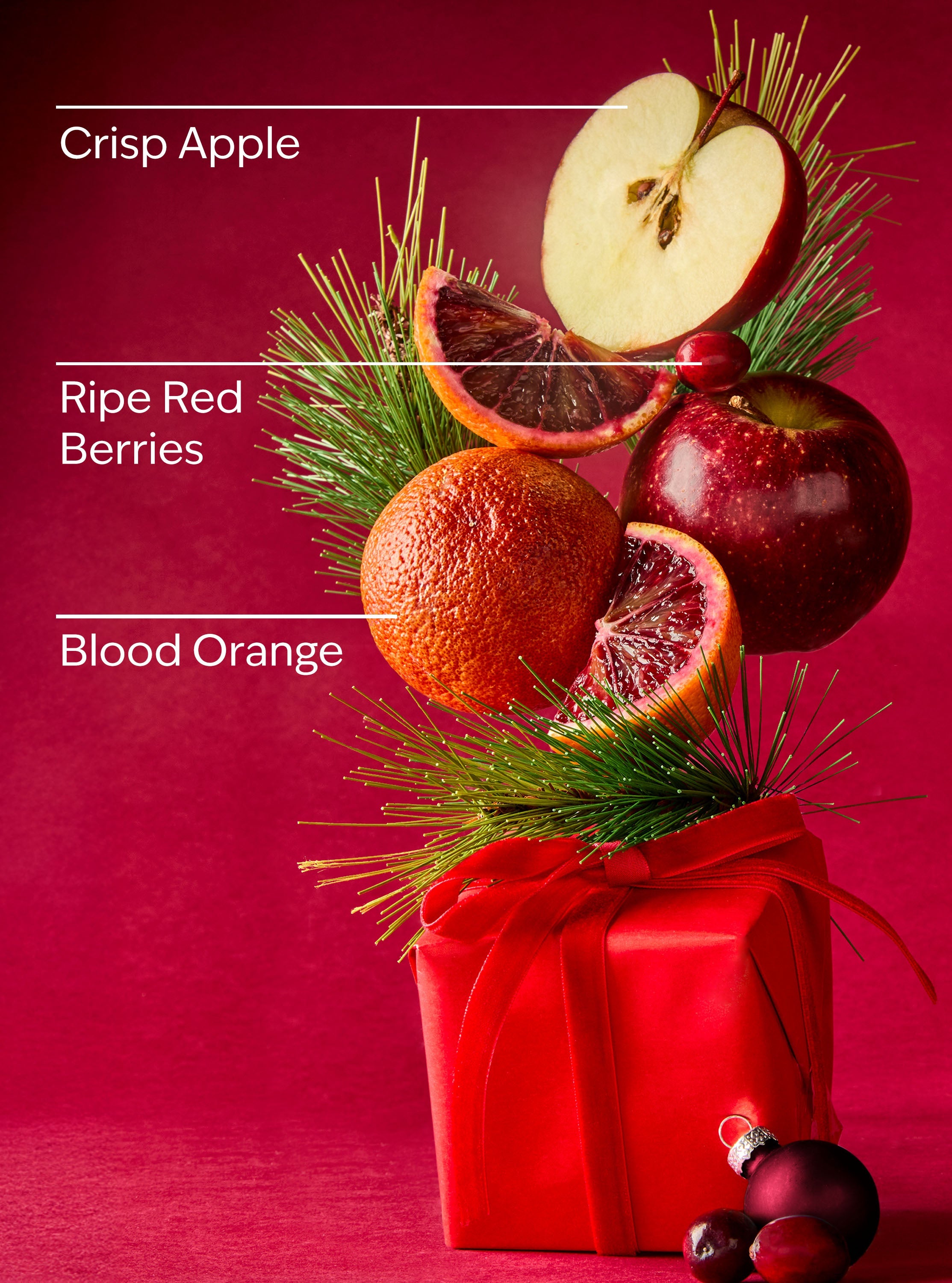 Bright Christmas Morning