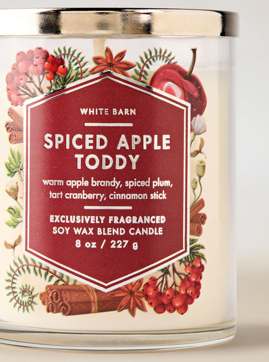 Spiced Apple Toddy